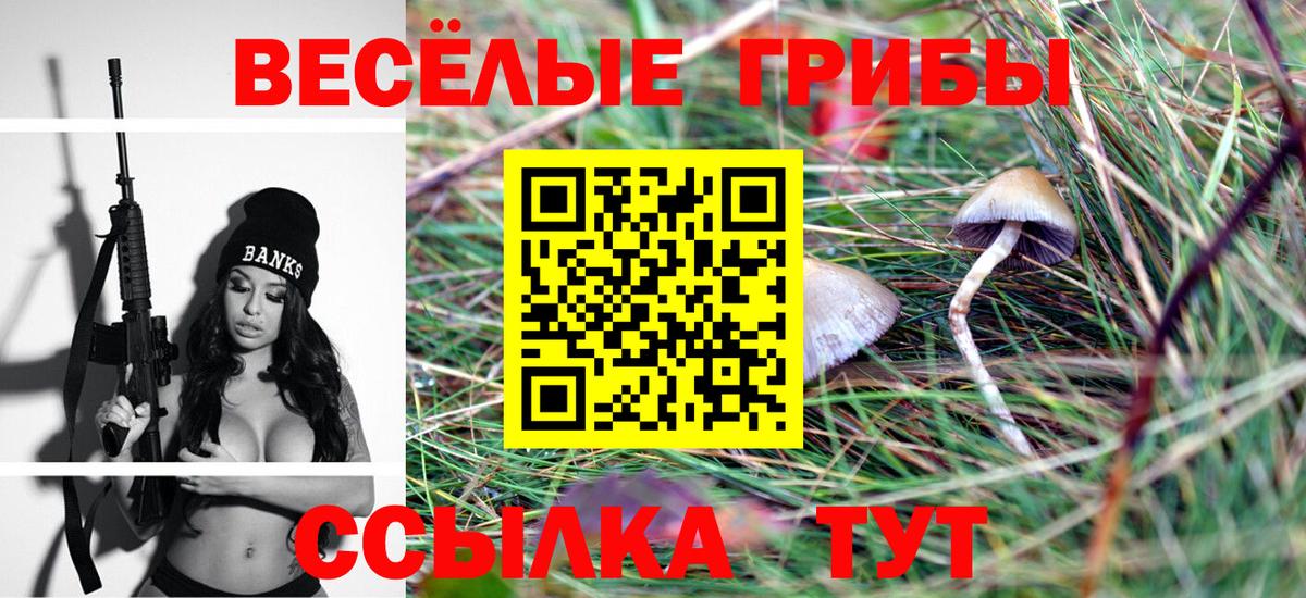 Псилоцибиновые грибы ЛСД Южноуральск